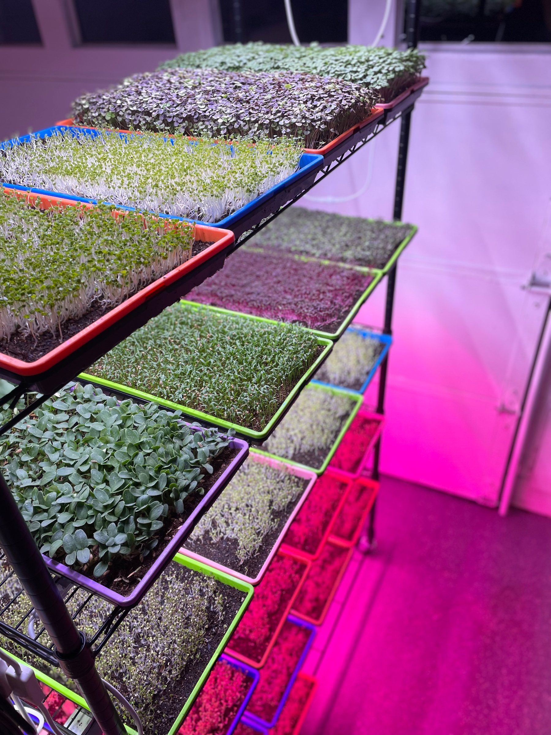 Grow racks