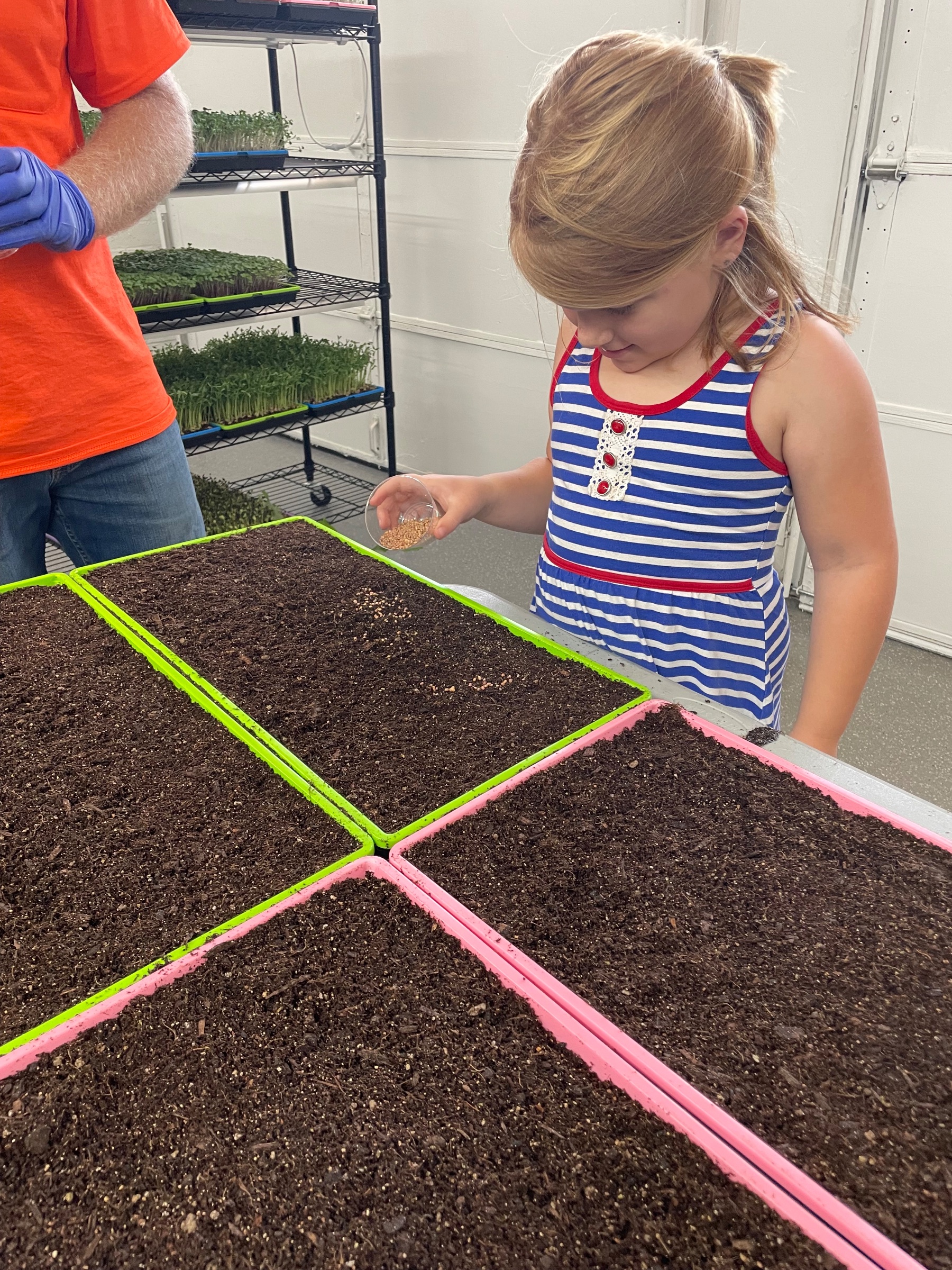 Seeding day